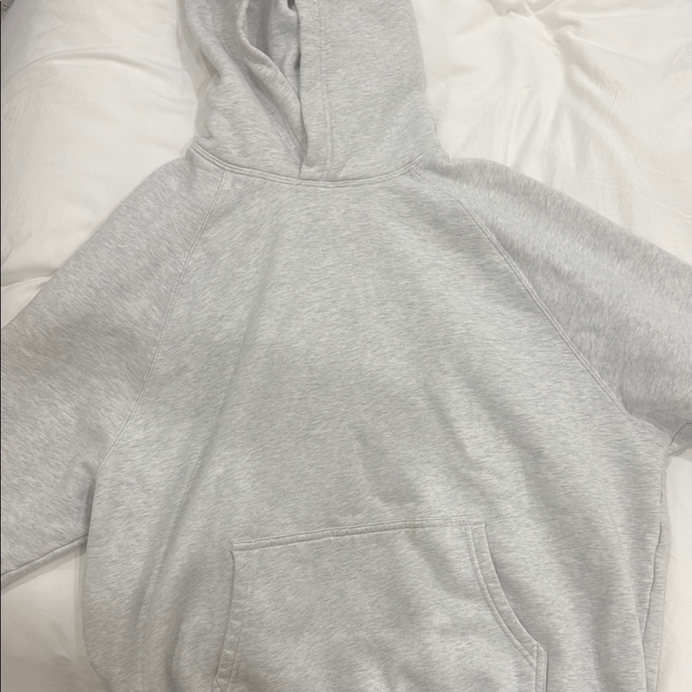 Gray Aritzia Hoodie